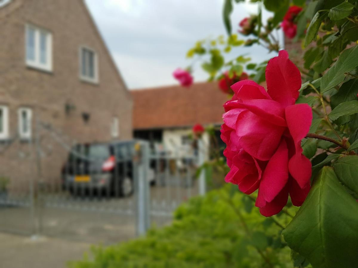 De Boerebeemd Bed & Breakfast Lieshout Bagian luar foto
