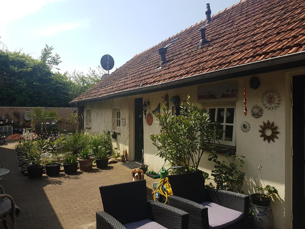 De Boerebeemd Bed & Breakfast Lieshout Bagian luar foto